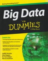 Big data for dummies