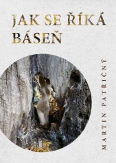 Jak se říká báseň