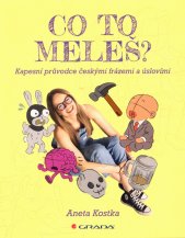Co to meleš? :kapesní průvodce českými frázemi a úslovími
