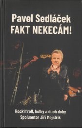 Fakt nekecám! :rock'n'roll, holky a duch doby