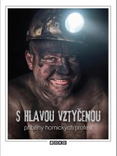 S hlavou vztyčenou :příběhy hornických profesí