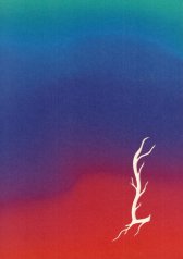 Martin Salajka :nebula