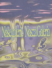 Naše Galerie :15. ročník výtvarné soutěže = Nasza Galeria : XV edycja konkursu plastycznego Nasza Galeria