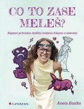 Co to zase meleš? :kapesní průvodce dalšími českými frázemi a úslovími