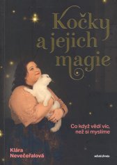Kočky a jejich magie :co když vědí víc, než si myslíme